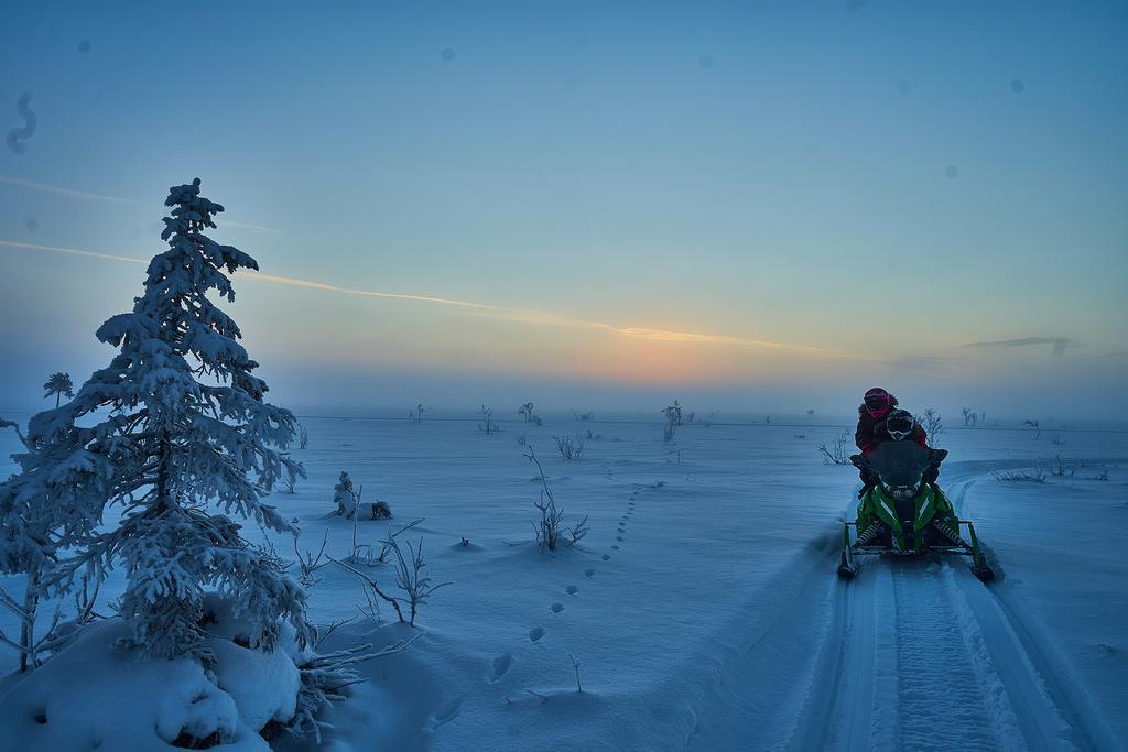 Lapland Guesthouse Kangos المظهر الخارجي الصورة
